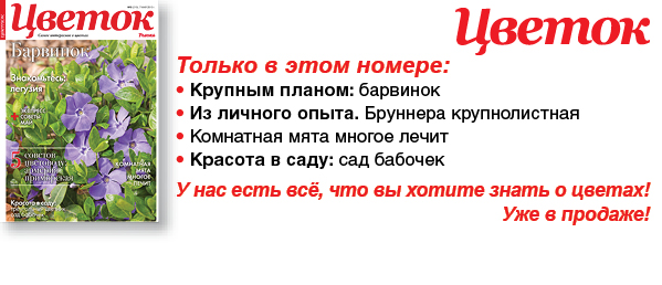 банер ЦВ