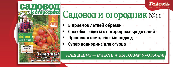 СИО 11