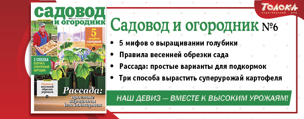 СИО 6