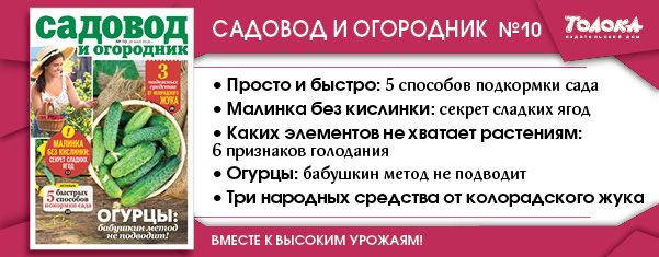 СИО 10