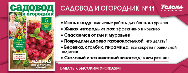 СИО 11
