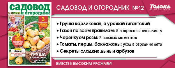 СИО 12