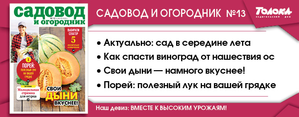 СИО 13