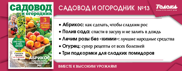 СИО 13