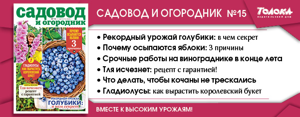 СИО 15