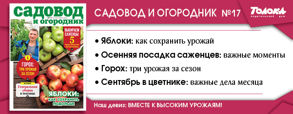 СИО 17