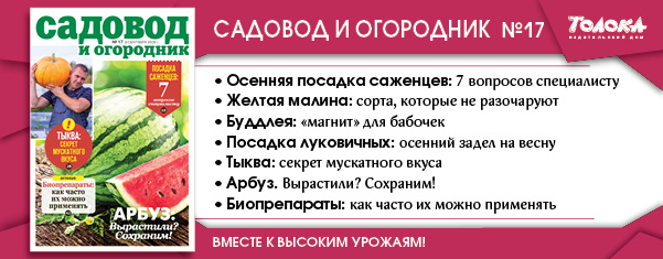 СИО 17