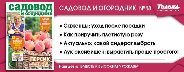 СИО 18