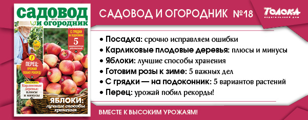 СИО 18