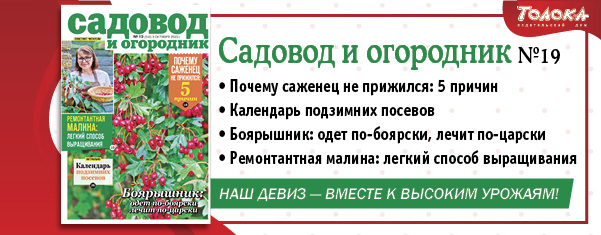 СИО 19