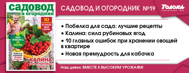 СИО 19