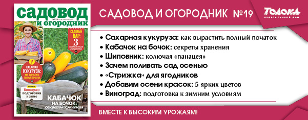 СИО 19