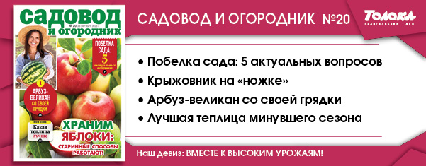 СИО 20