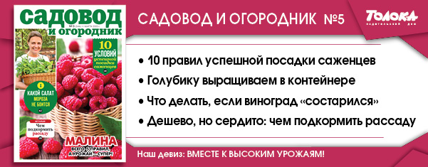 СИО 5