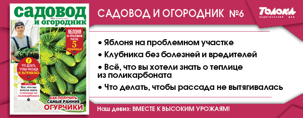 СИО 6