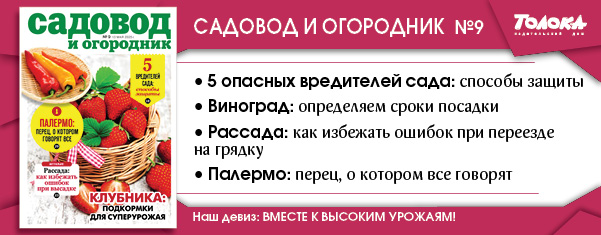 СИО 9