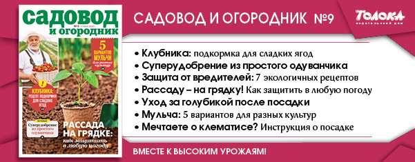 СИО 9