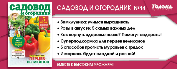 сио 14