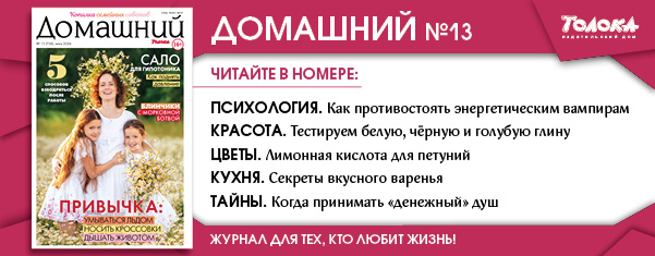 ДЖ 13