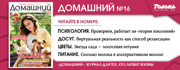ДЖ 16