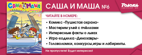 СИМ 6