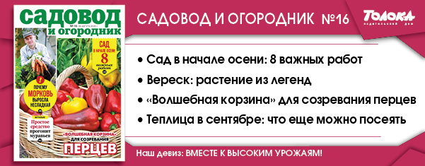СИО 16