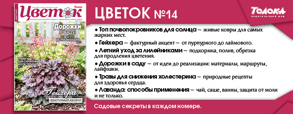 цв 14