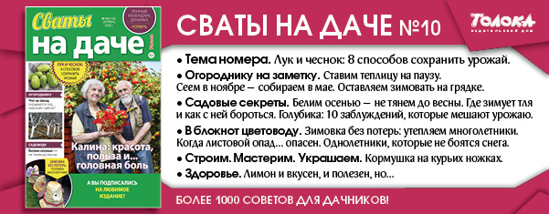 СВД 10