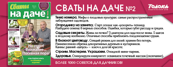 СВД 2