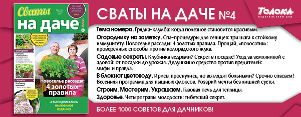 СВД 4
