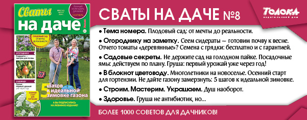 СВД 8