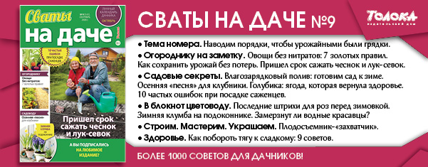СВД 9